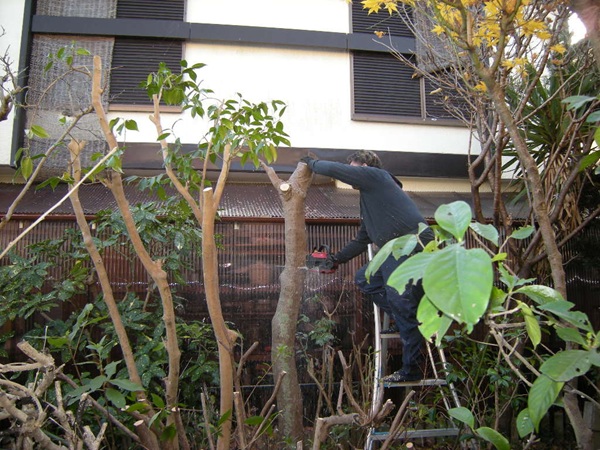 �z�����؂̔���