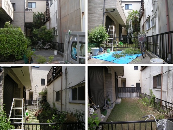 �V�����̔���