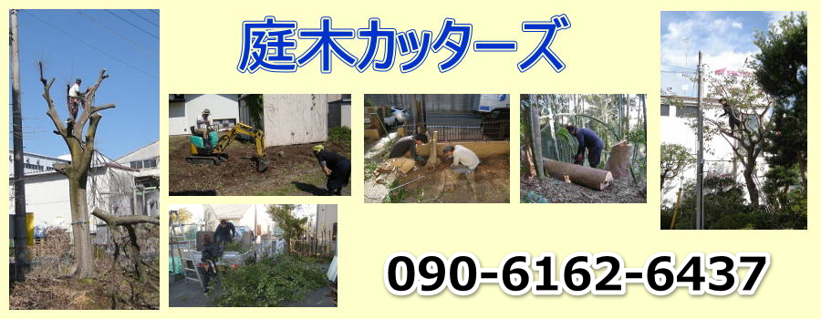 庭木カッターズ | 浜松市西区の庭木の伐採を承ります。